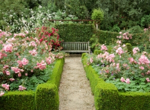 formal rose garden