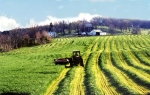 farmer-field