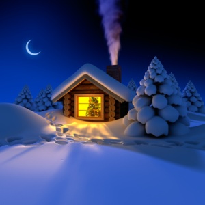 Little house in the snowy woods, Christmas