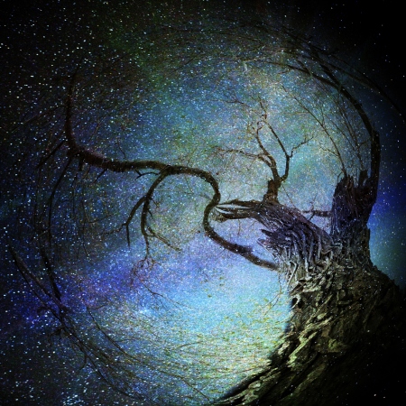 magical night tree