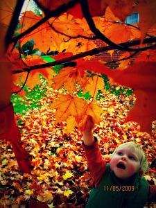 "Autumn is a second spring where every leaf is a flower."~Fall Quotes and Images--Beth Trissel