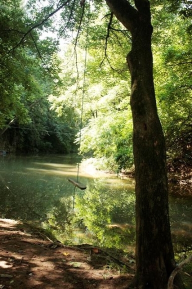 Eeyore's stream and tree.jpg1
